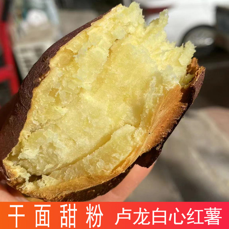 腾飞卢龙沙地白心红薯新鲜板栗薯