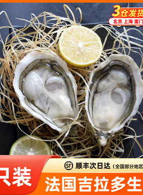 法国吉拉多Gillravage生蚝进口鲜活空运N0/N1/N2刺身级即食 6只装