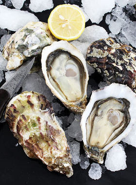 进口法国吉利生蚝N0/N1/N2 12只 空运鲜活即食牡蛎刺身级生蚝
