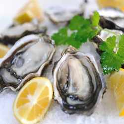 新西兰进口鲜活生蚝12只牡蛎马尔伯勒生蚝XL/L/M号刺身级生蚝