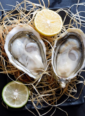 法国吉拉多Gillravage生蚝进口鲜活空运N0/N1/N2刺身级即食12只装