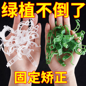 绿植果树植物固定夹卡扣藤蔓固定器秧苗爬藤支撑杆园艺秧苗吊秧夹