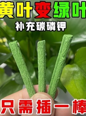 植物营养棒缓释肥料盆栽花卉家用养花通用型营养液片绿植土壤花草