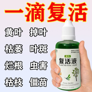 植物花卉复活液针对植物光杆发黄掉叶专用生长快速活性生根液壮苗
