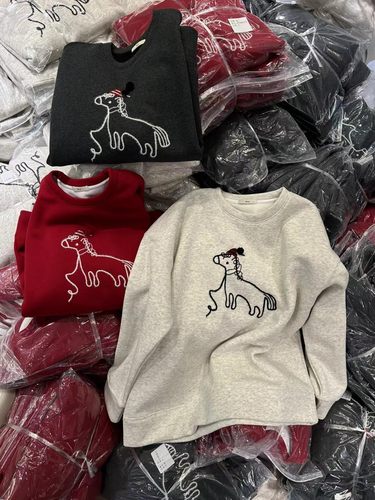 WT韩国货马儿刺绣加绒保暖长袖卫衣女2025冬季百搭洋气上衣女Wat