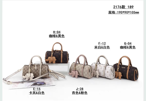专柜正品2024女包百搭单肩包枕头包女百搭手提斜挎小包欧美范潮
