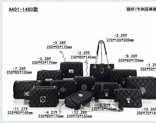 专柜正品 真皮高级感菱格链条包轻奢女包单肩斜挎包女 新款