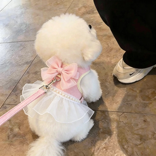 狗狗牵引绳小型犬甜美蕾丝花边胸背裙幼犬外出专用衣服春夏季薄款