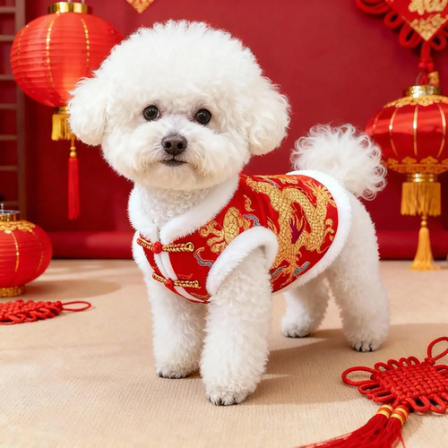 狗狗衣服新年龙袍装中式龙纹刺绣拜年服可牵引宠物猫咪秋冬防掉毛