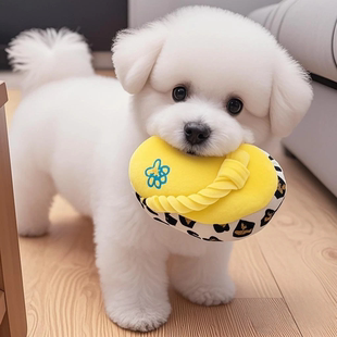 狗狗发声玩具毛绒拖鞋磨牙洁齿耐咬自嗨中小型犬泰迪柯基解闷神器