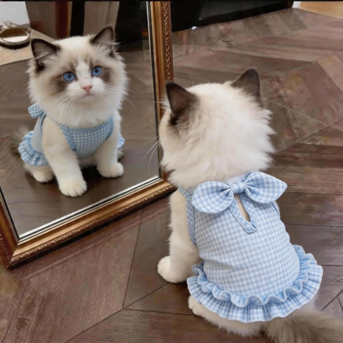 猫咪衣服春夏薄款防掉毛布偶可爱蝴蝶结吊带裙宠物狗狗透气公主裙