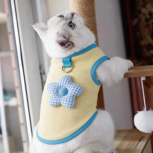猫咪衣服春夏新款透气幼犬奶猫布偶可爱可牵引防掉毛宠物狗狗背心