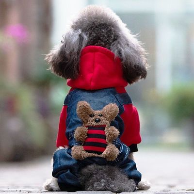 泰迪比熊法斗犬狗冬季加厚宠物猫