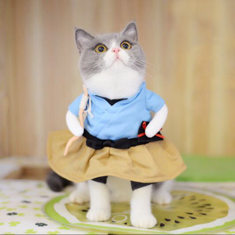 抖音同款猫咪衣服浦岛太郎喵咪装