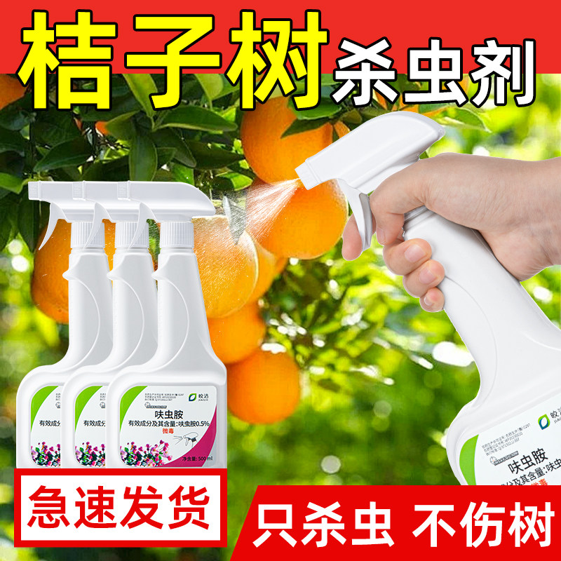 桔子树杀虫剂药年桔生虫桔树治虫药金桔虫子用药金钱桔灭蚧壳虫杀