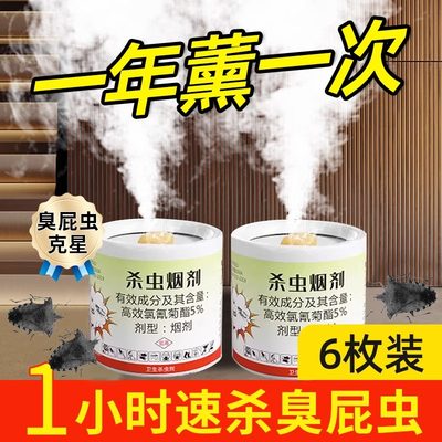 臭屁虫臭大姐椿象专用杀虫剂