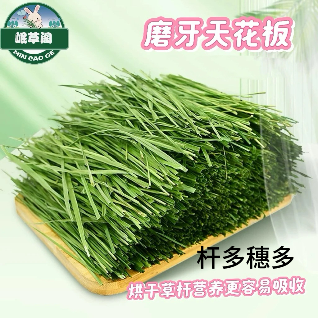【磨牙健齿杆多穗多】烘干提摩西草杆磨牙提摩西草龙猫兔兔荷兰猪