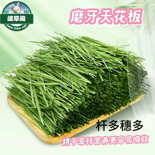 【磨牙健齿杆多穗多】烘干提摩西草杆磨牙提摩西草龙猫兔兔荷兰猪