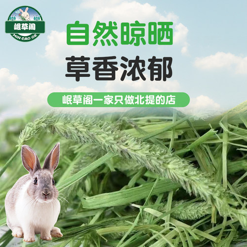 岷县提摩西草自然晒干特级宠物兔干草粮饲料兔子荷兰猪龙猫提莫西