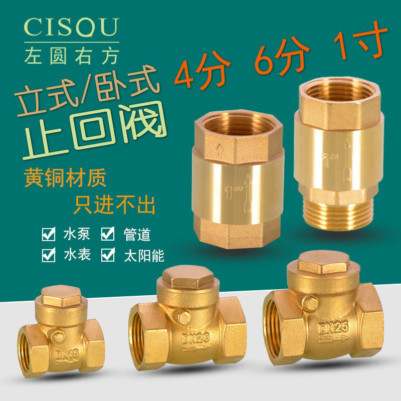 弹簧6分1寸内外丝卧式铜杆止回阀