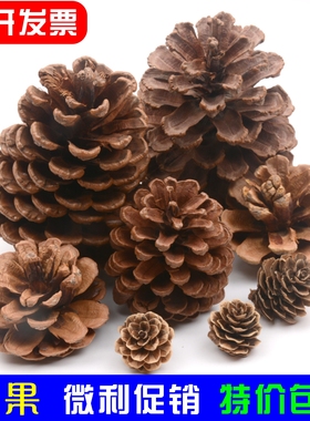 天然松果松塔干树枝儿童手工材料环创布置森林原木干花幼儿园装饰