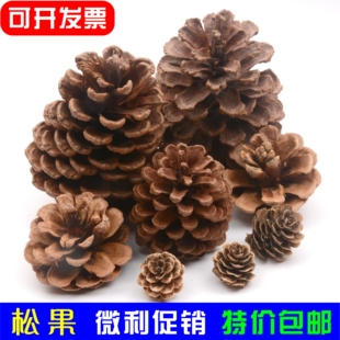 天然松果松塔干树枝儿童手工材料环创布置森林原木干花幼儿园装 饰