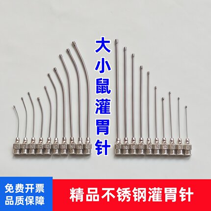 小鼠灌胃针C57灌胃器8号12号16号SD大鼠灌胃针喂药器直弯针不锈钢