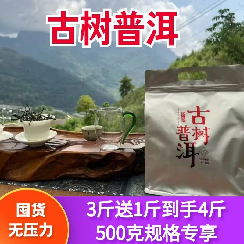 中国茶 云南镇康马鞍山古树头春普洱