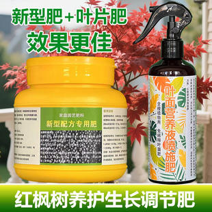 红枫树专用肥料盆栽羽毛枫黄金流泉枫营养液发新叶枝发芽叶面肥料