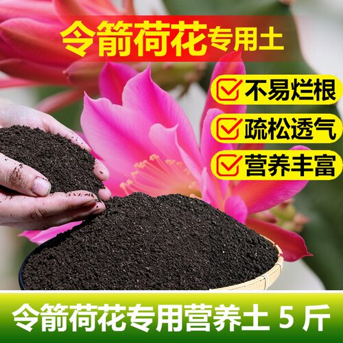 令箭荷花专用土料家用室内阳台盆栽植物营养土花肥三元素缓释家用