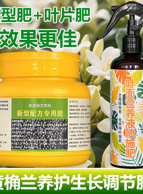 黄桷兰专用肥料大树苗白兰花肥黄桷兰花盆栽专用土营养液叶面肥料
