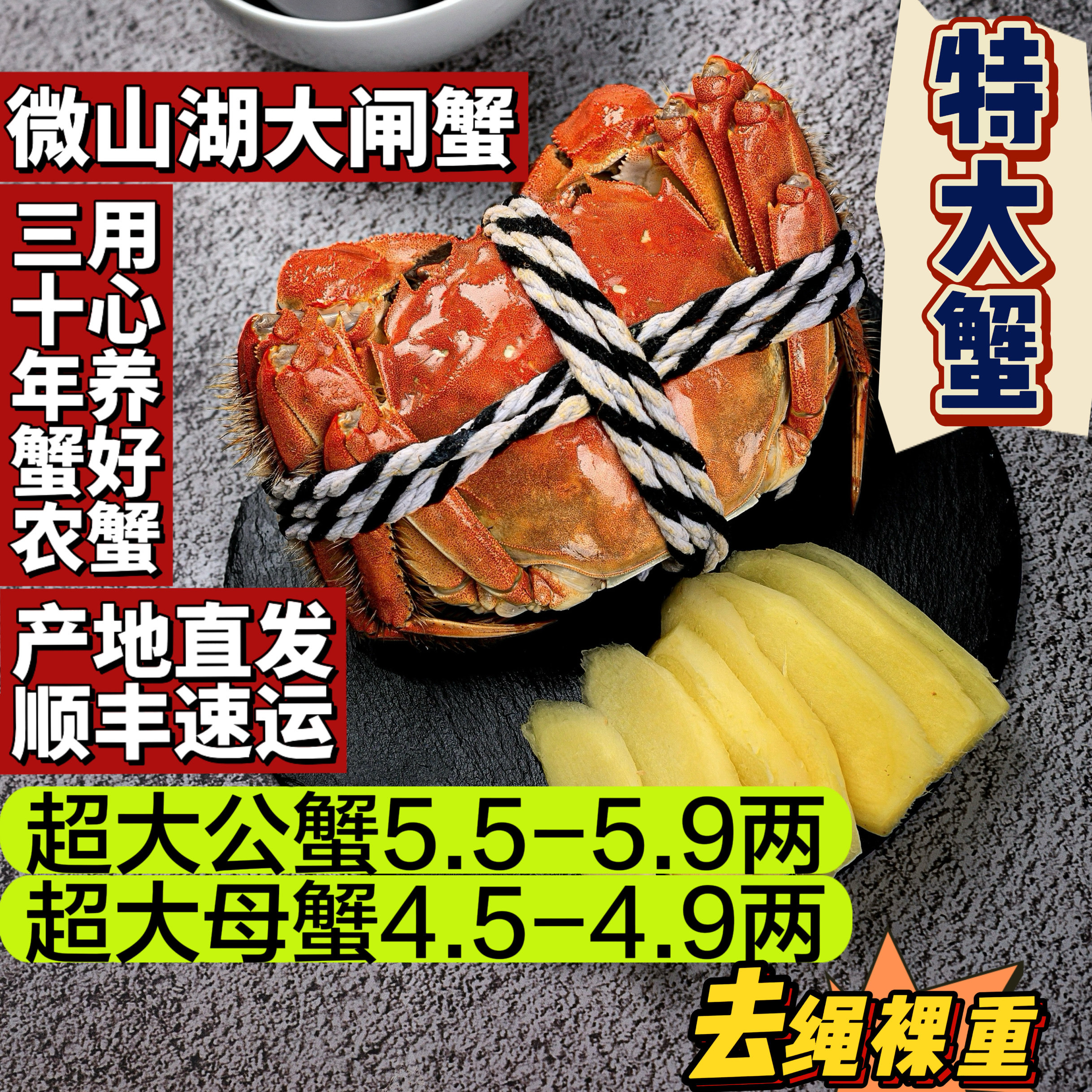 山东微山湖大闸蟹原生态湖水养殖塘内现抓鲜活特肥大螃蟹礼盒活蟹