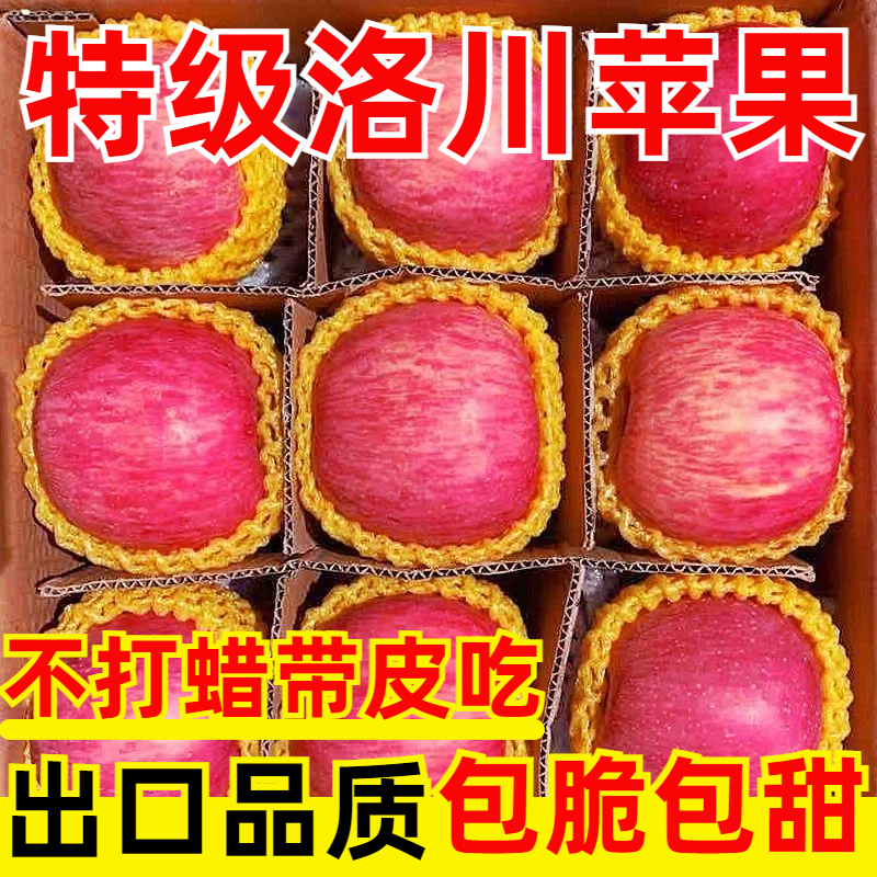 陕西正宗洛川红富士苹果脆甜多汁应季水果10斤冰糖心产地直发