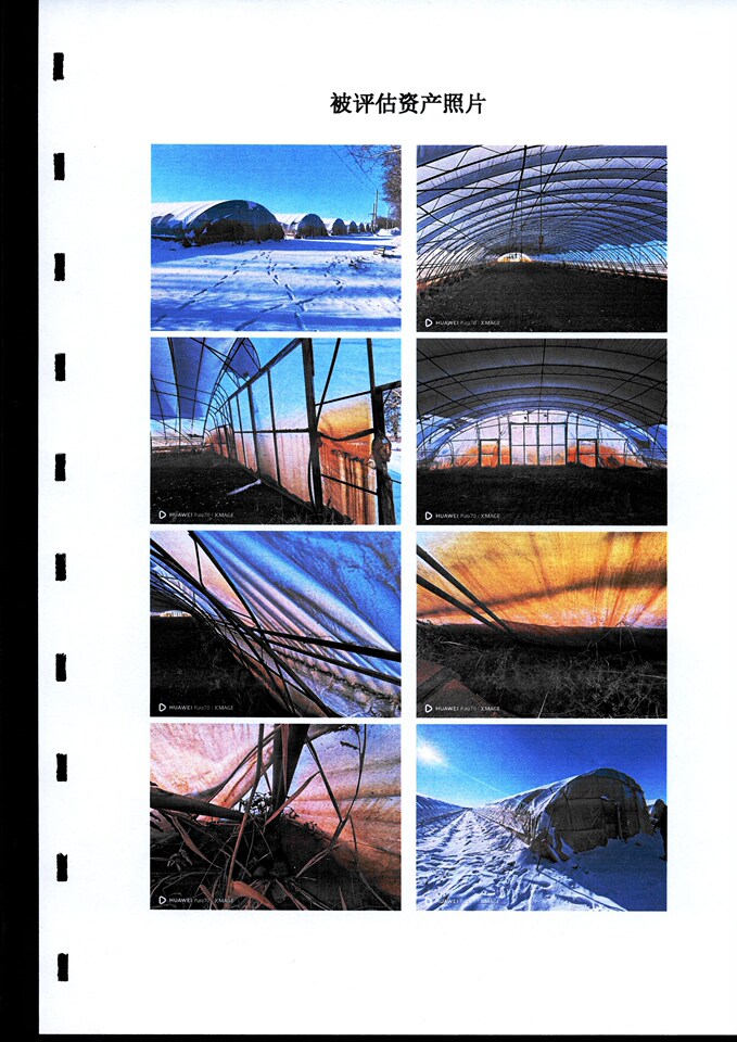 3月23日鹤岗市军川农场15队6号2区超级大棚3栋网络拍卖公告