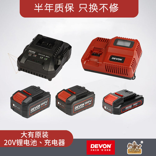 大有原装20v标准充电器