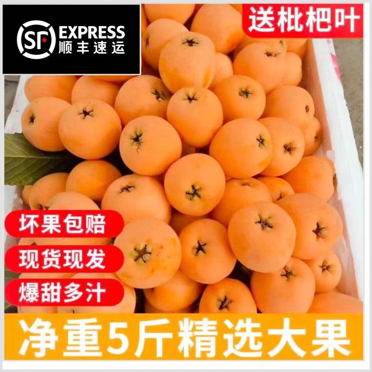 甜枇杷5斤新鲜当季水果孕妇现摘农家大果琵琶果整箱现货顺丰包邮