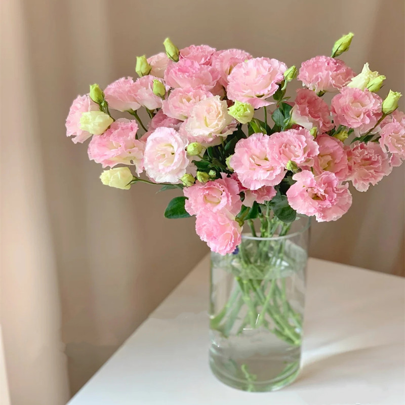 洋桔梗鲜切花  室内装饰花束 家庭插花 云南昆明基地直发真花花艺