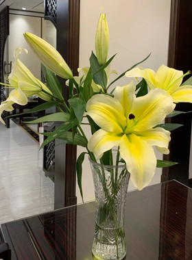 百合香水百合鲜花 家庭插花 云南昆明基地直发包邮