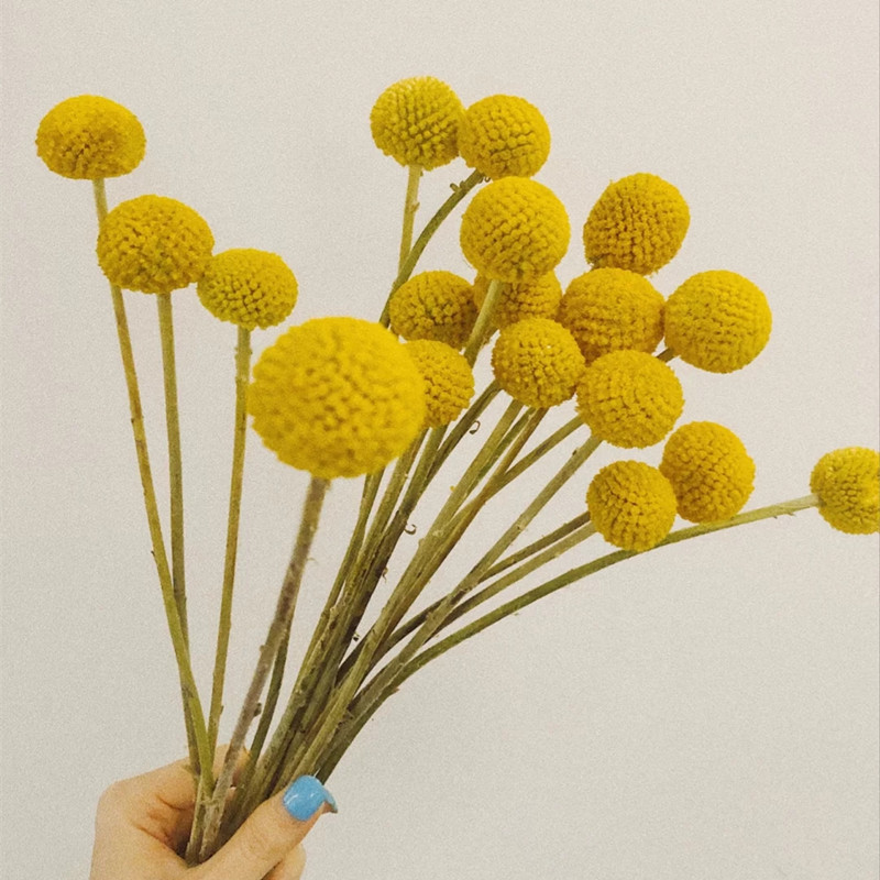 黄金球鲜花干湿两用的装饰摆件
