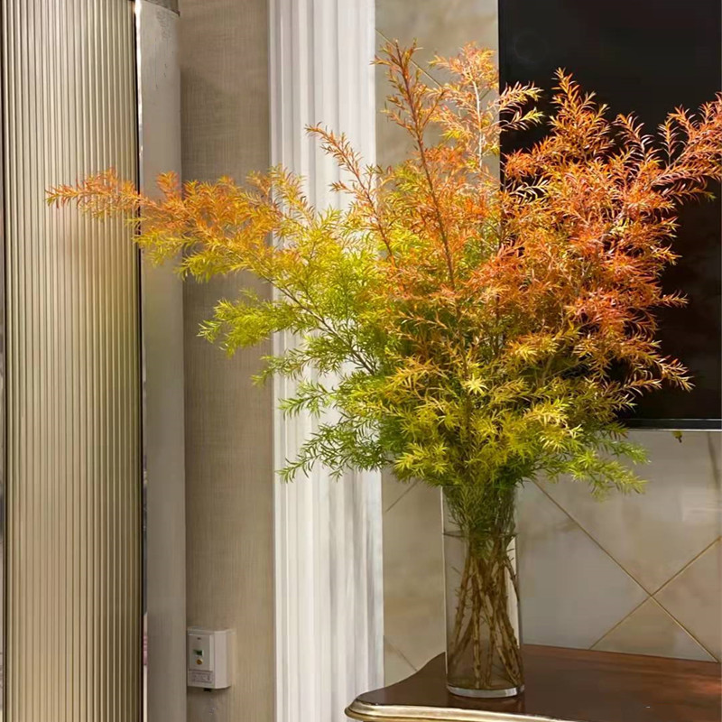 千层金香柳鲜切花云南昆明