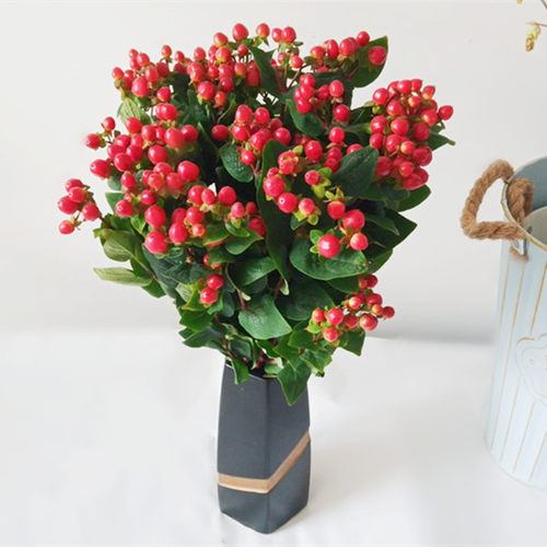 相思豆火龙珠家庭插花红豆