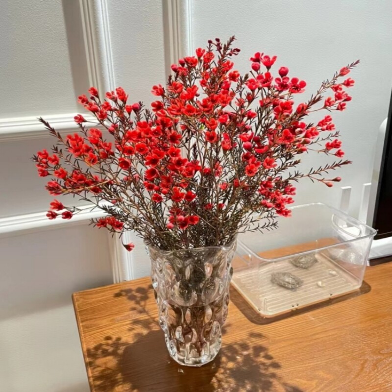 澳洲腊梅鲜 平头腊梅家庭插花装饰云南昆明基地直发一大束