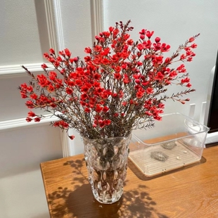 澳洲腊梅鲜 平头腊梅家庭插花装饰云南昆明基地直发一大束