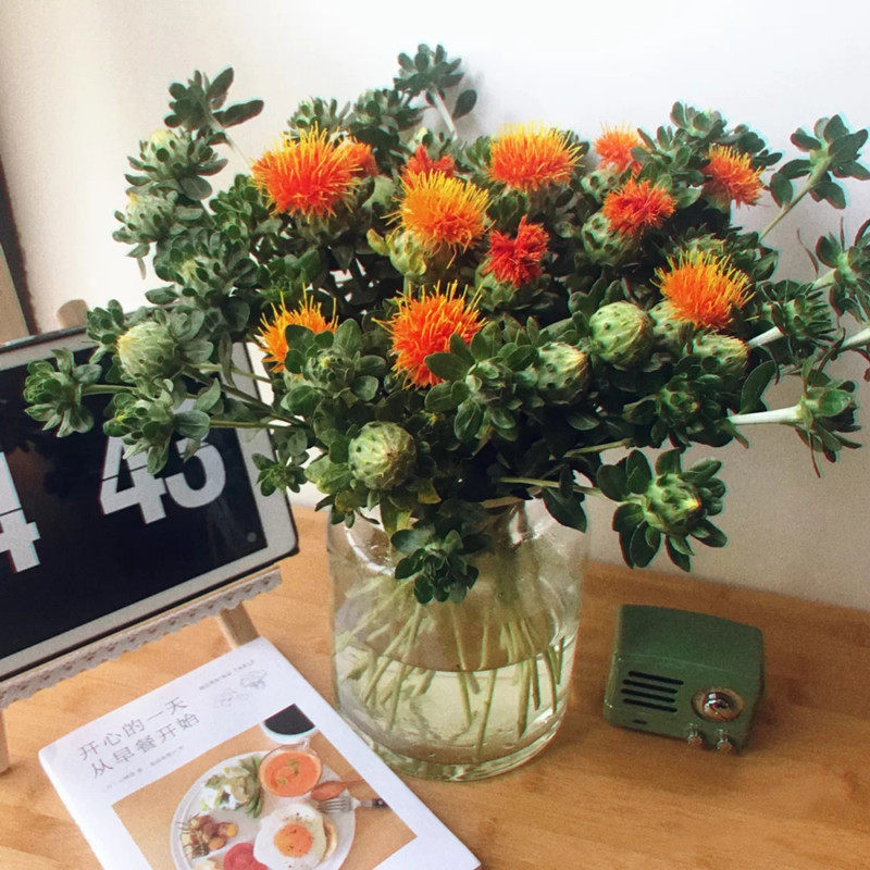 橙菠萝 菠萝菊鲜花家庭插花拍摄装饰可以做干花云南昆明基地直发,鲜花速递/花卉仿真/绿植园艺,花材,淘宝优惠券,粉丝福利购,淘宝优惠卷