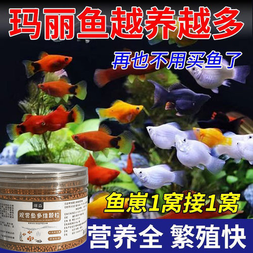 玛丽鱼下崽爆缸专用粮营养促长增色增量防惊吓不生病通用型鱼饲料