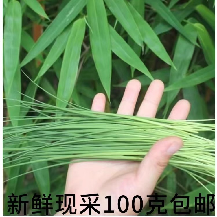 现采竹叶芯自然单竹心嫩芽竹芯竹卷心新鲜广西竹叶心下火凉茶包邮