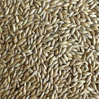 Natural Mixed Seeds Bird Seed Mix, Parrot Food Daily Blend thumbnail 5