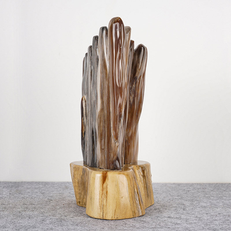 创意装饰空间摆件观赏石奇石硅化木 精品树化玉送礼收藏客厅摆放