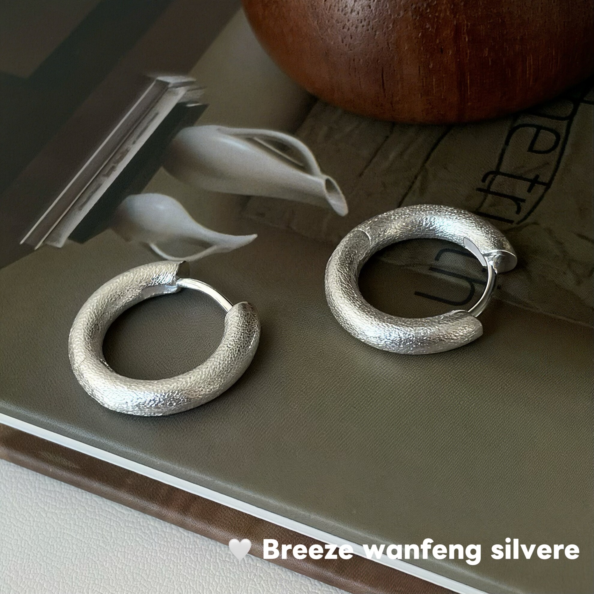 S925纯银韩版小众设计高级感拉丝耳圈女时尚简约个性百搭耳环