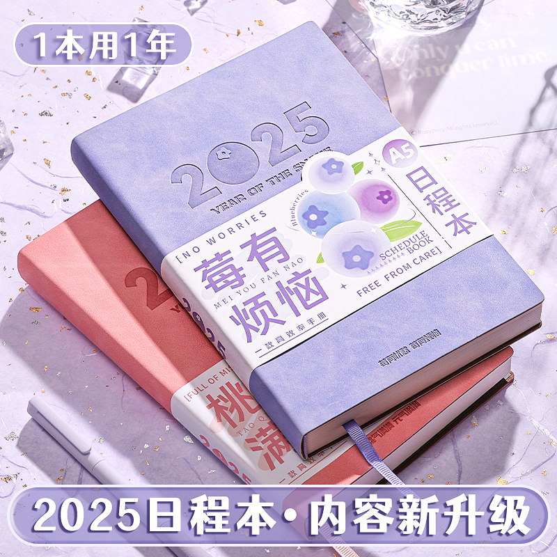 2025年日程本自律计划表笔记本子365天一日一页每日计划本周效率手册日历记事本加厚商务办公学习日记本定制
